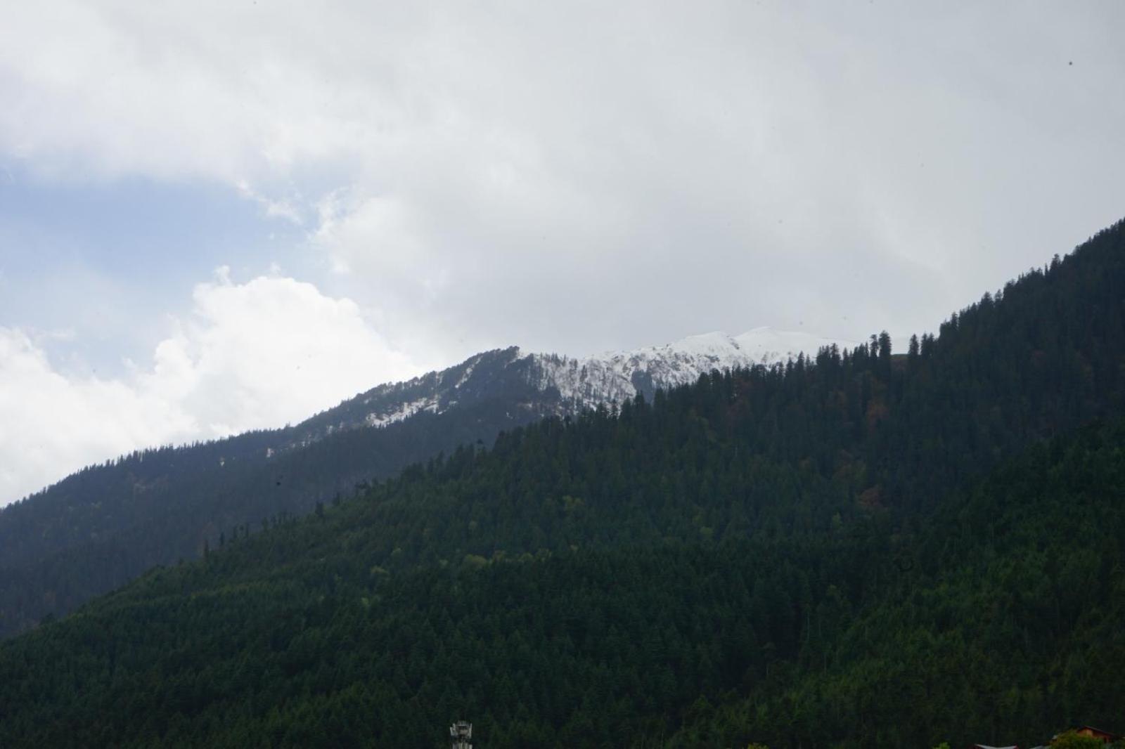 Hotel Magnolia Mallroad Manali Exterior photo